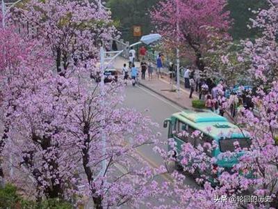 广州市有什么赏花