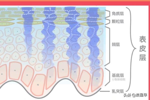 果然汽车养护