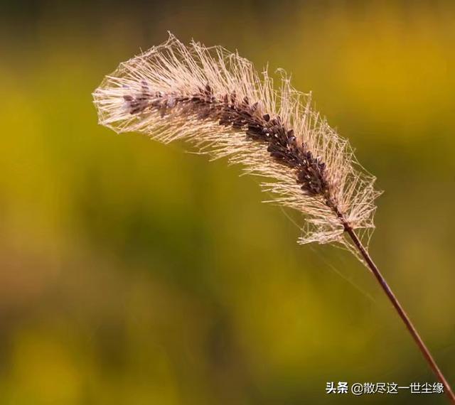 旅游意外保险，旅游意外保险赔偿范围包括哪些