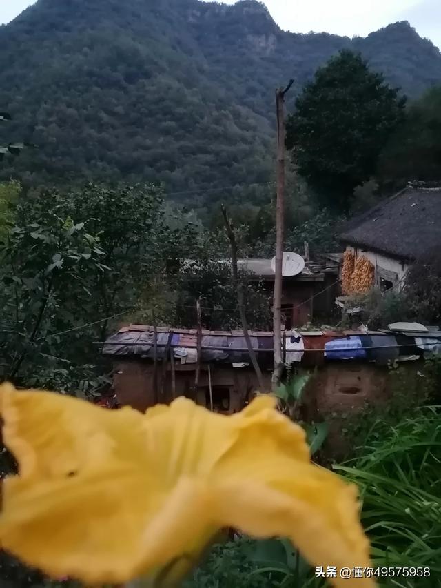 小孩买什么保险最好最划算，小孩买什么保险最好最划算中国人寿