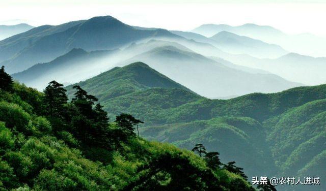 小九华景点门票价格， 小九华景点门票价格表