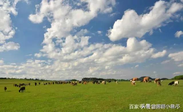 云南曲靖市马龙区户外烧烤评价好的农家乐哪家好最近哪一家,曲靖马龙哪里有好吃的