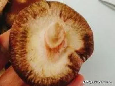 东北家常菜做法凉拌香菇