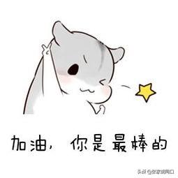 新车怎么开