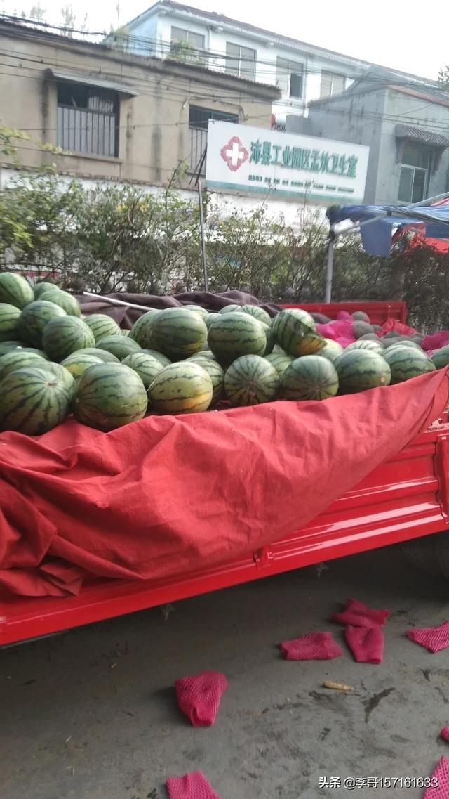 全国饲料评审委员会-全国饲料评审委员会评审原则