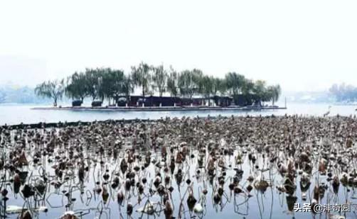 中国古典园林常见的构景手法有哪些？：景观设计俩点透视