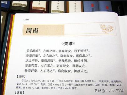 关雎赏析100字（关雎鉴赏300字）