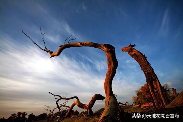 浙江清净旅游景点大全排名， 浙江清净的旅游地方