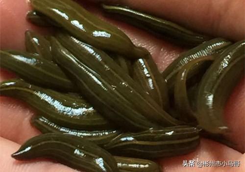医药行业并购溢价