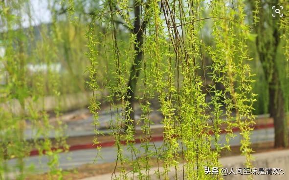 又短又好的拟人句_又短又好的拟人句5个字