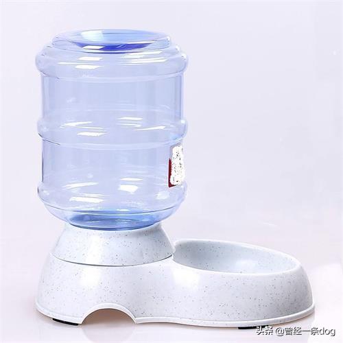 怎么训练宠物不挑食吃(图11)