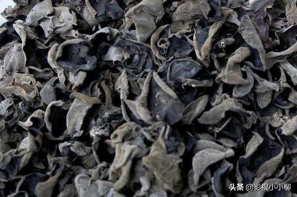 干木耳_干木耳需要焯水吗