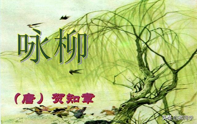 不知细叶谁裁出的意思是啥