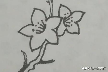 春天的花卉简笔? 春天的花卉简笔画!