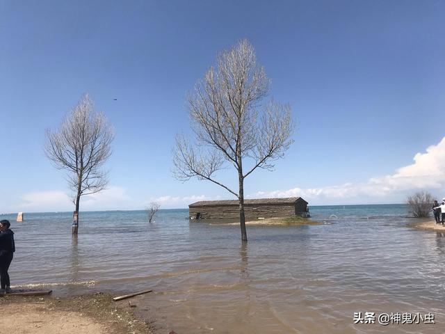 定边景点门票价格， 定边景点门票价格多少