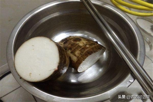 新会今日猪价格-新会猪价网