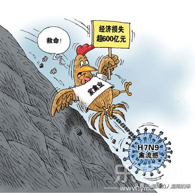 猪价低迷时 如何卖饲料-猪价低迷时 如何卖饲料呢