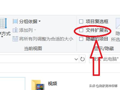 flv下载（在电脑上怎么下载视频到u盘flv版本号？）