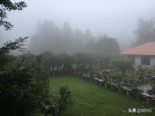 小竹山自驾游路线，小竹山自驾游路线攻略