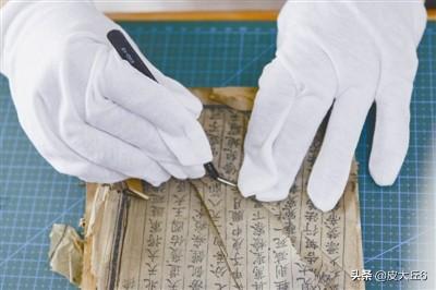 书连 书连网一老年小说-第1张图片-涟源游戏通