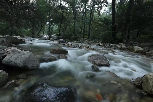 快门优先（快门优先、光圈优先和P这三个档是在哪种场合比较合适？）
