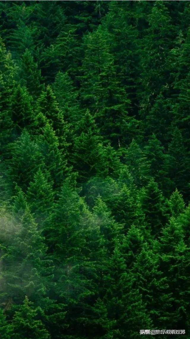 坚守阵地2奇迹市场 坚守阵地2城镇第一关三星攻略-第1张图片-随然AIR主题