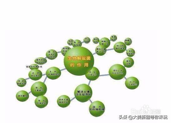 土壤不够肥沃怎么改善(图23)