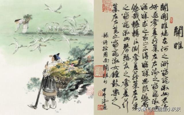 关关雎鸠全文免费阅读（关关雎鸠小说下载）