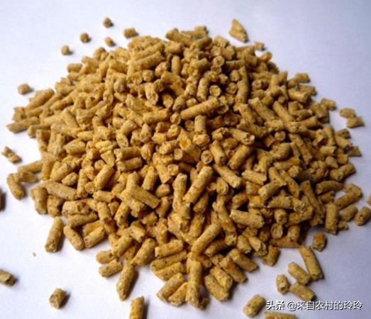 饲料行业技术网-饲料行业技术网站有哪些
