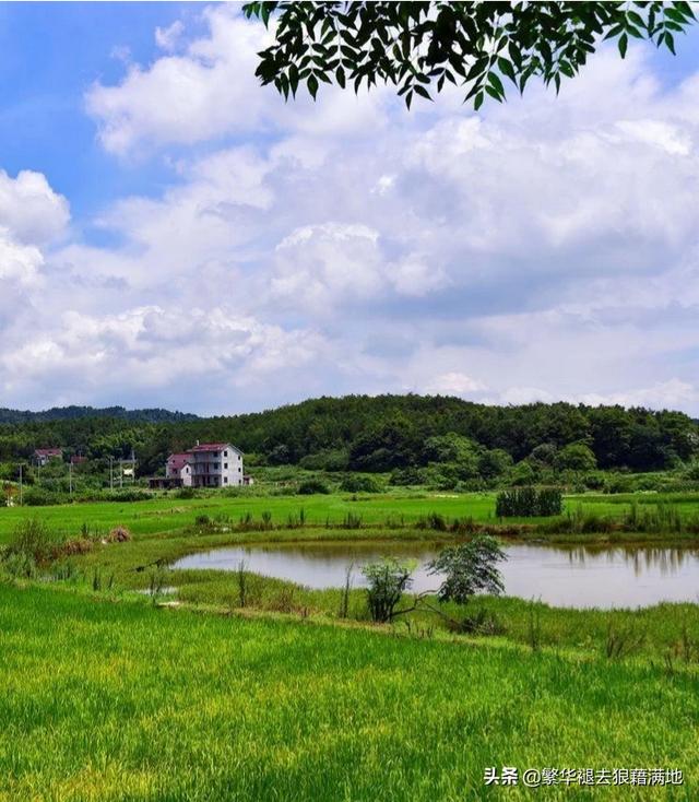 渔樵的歌声为什么是乱世之音？：小雨沙沙简谱