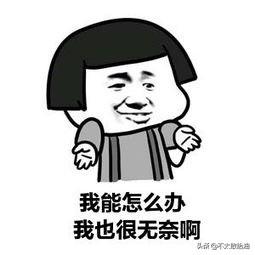 教你怎么回复别人的话的软件 别人说的没听懂要怎么答？