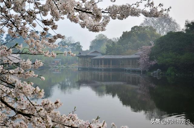 杭州西湖旅游团一日游-杭州西湖旅游团一日游价格