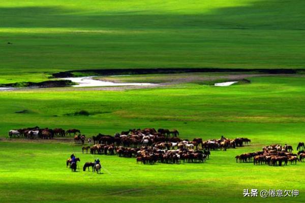 南阳山鸡养殖-南阳山鸡养殖场