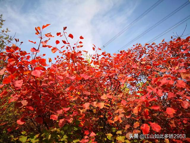 忻州著名旅游景点大全， 忻州著名旅游景点大全图片