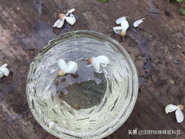 广东早茶蜂蜜糕的做法（广州蜂蜜糕的做法？）