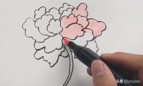 牡丹花简笔画,牡丹花简笔画简单又好看