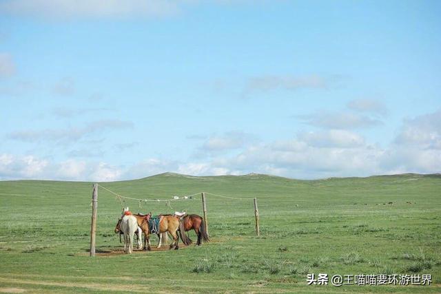 北京内蒙古宾馆-北京内蒙古宾馆电话