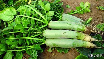 家里安装空气能热水器，热水要打开约一分钟才有，同时用水，热水水流会很小，请问解决办法？：大时间