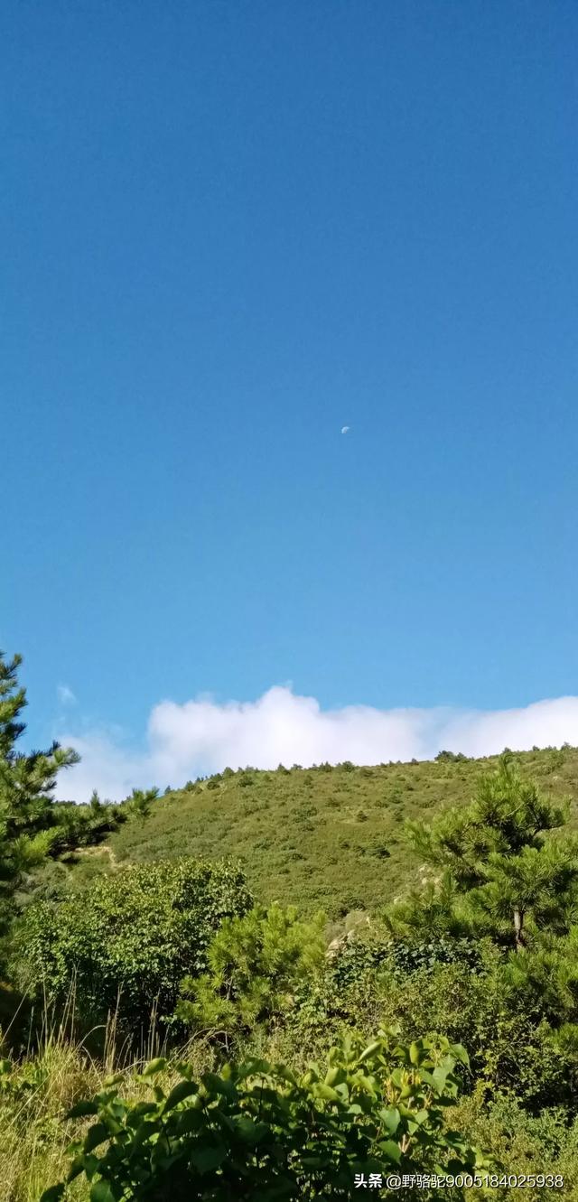 朝阳旅游景点大全排名， 辽宁朝阳旅游景点大全排名