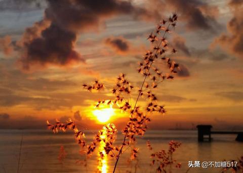 辰时属什么生肖辰时属什么生肖相冲