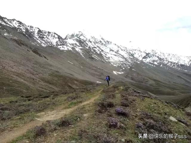 徒步掉队迷路后身亡