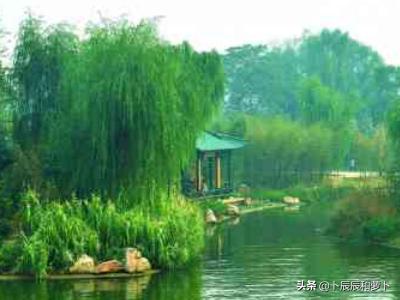 四面荷花三面柳全诗四句（四面荷花三面柳是谁的诗）