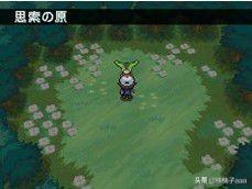 口袋妖怪黑2全神兽攻略 - 获取道具