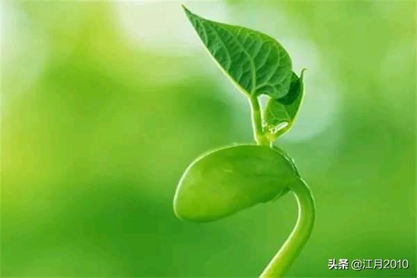 女人最大的财富是什么(图6)