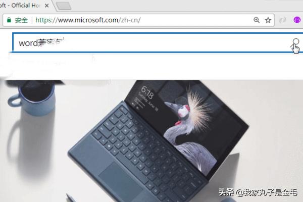 2003 下搭建网站