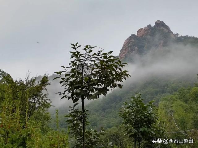 竹湾村地铁路线，竹湾村地铁路线图