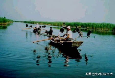 河北沧州有什么好玩的地方