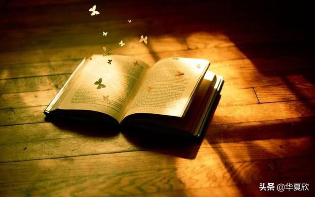 去哪里找书籍的货源