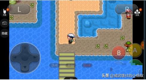 口袋迷dx 口袋迷的世界-第2张图片-Game优搜