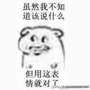 求好玩的手机游戏（最好是国外养成类）？有没有可以捏脸的手机类养成游戏（注意是手机游戏）？